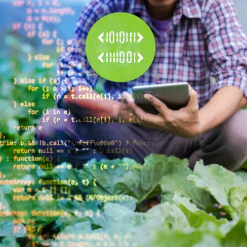 Vasko ofrece Data Logger para Base de Datos en el mundo agrónomo.