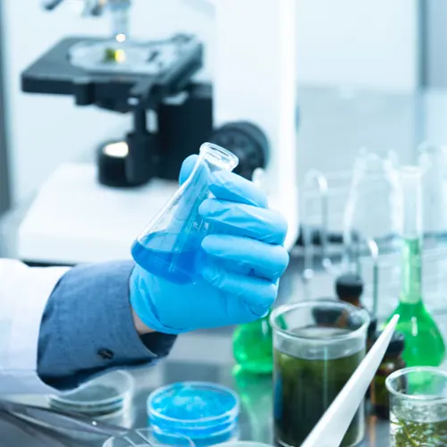 Estudios ambientales en Vasko.cl