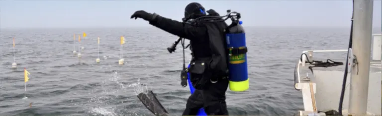 Consultoría en ambiente acuatico con Vasko