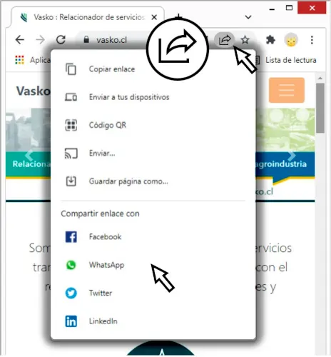 Comparte la web Vasko en tus redes sociales