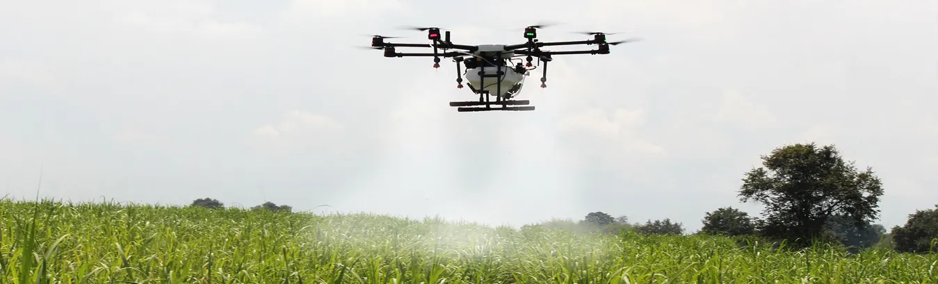 Servicios de drones en vasko